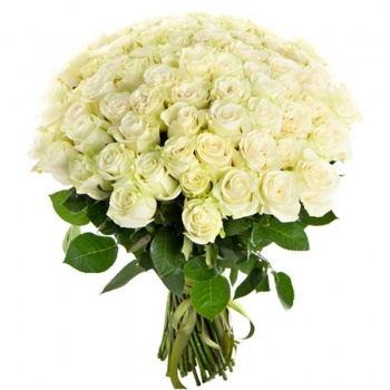 Букет из 75 белых роз