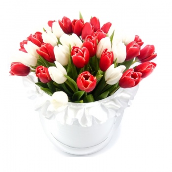 Букет MIX из красных и белых тюльпанов в коробке