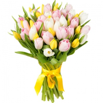 Букет MIX из 45 белых,желтых и розовых тюльпанов