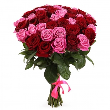 Букет из 55 красных и розовых роз