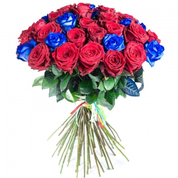 Букет из 35 синих и красных роз