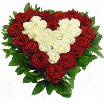 Сердце из 33 красных и белых роз