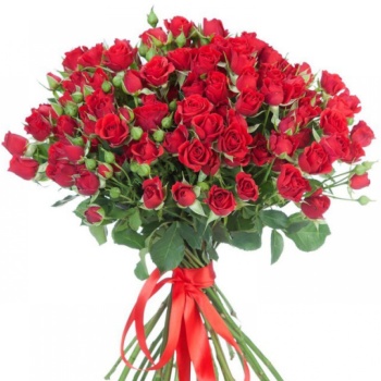 Букет из 19 красных кустовых роз