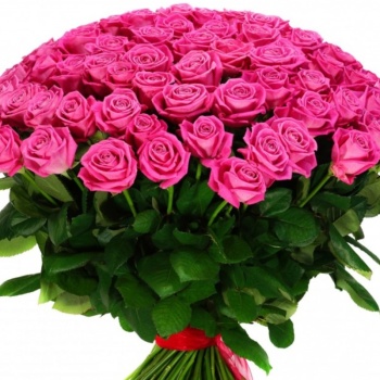Букет из 75 розовой розы