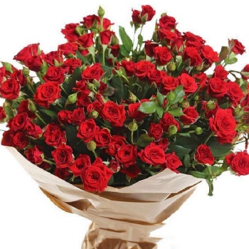 Букет из 15 красных кустовых роз в крафте