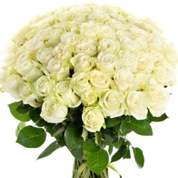 Букет из 75 белых роз