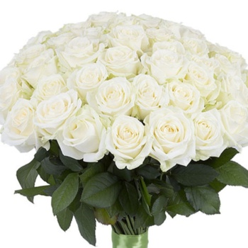 Букет из 55 белых роз