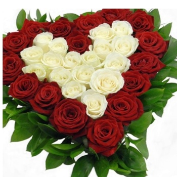 Сердце из 33 красных и белых роз