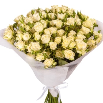 Букет из 19 белых кустовых роз