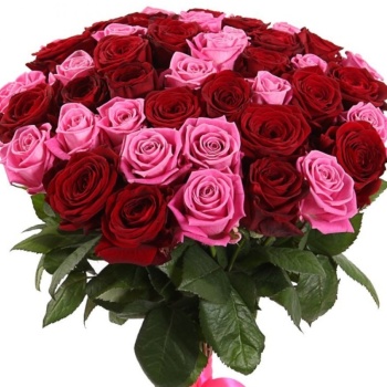 Букет из 55 красных и розовых роз