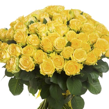 Букет из 55 желтых роз