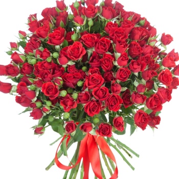 Букет из 17 красных кустовых роз