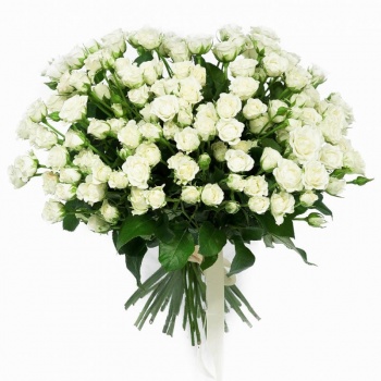 Букет из 35 белых кустовых роз