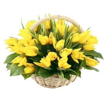 Желтые тюльпаны в корзине
