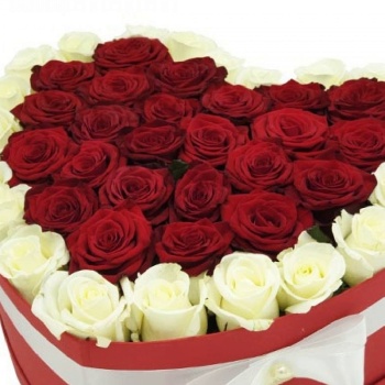 Сердце из 51 белой и красной розы в коробке