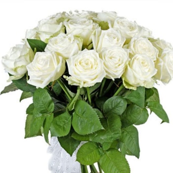 Букет из 19 белых роз