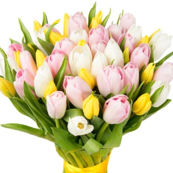 Букет MIX из 45 белых,желтых и розовых тюльпанов